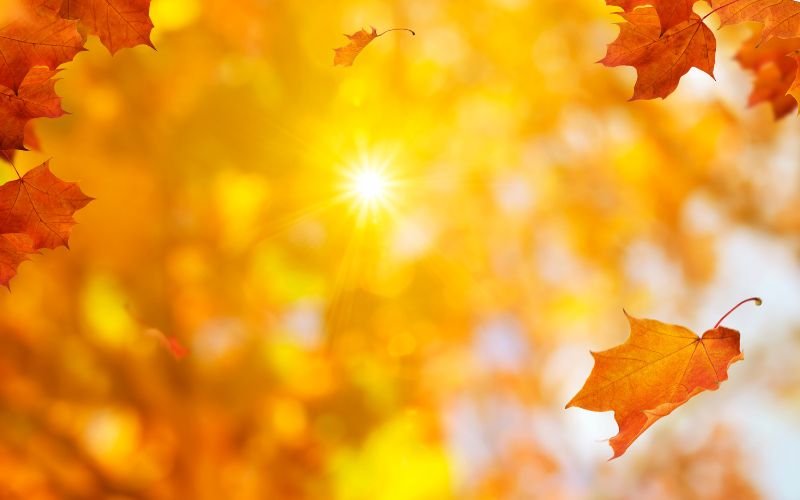 Слънчева и още по-топла сряда