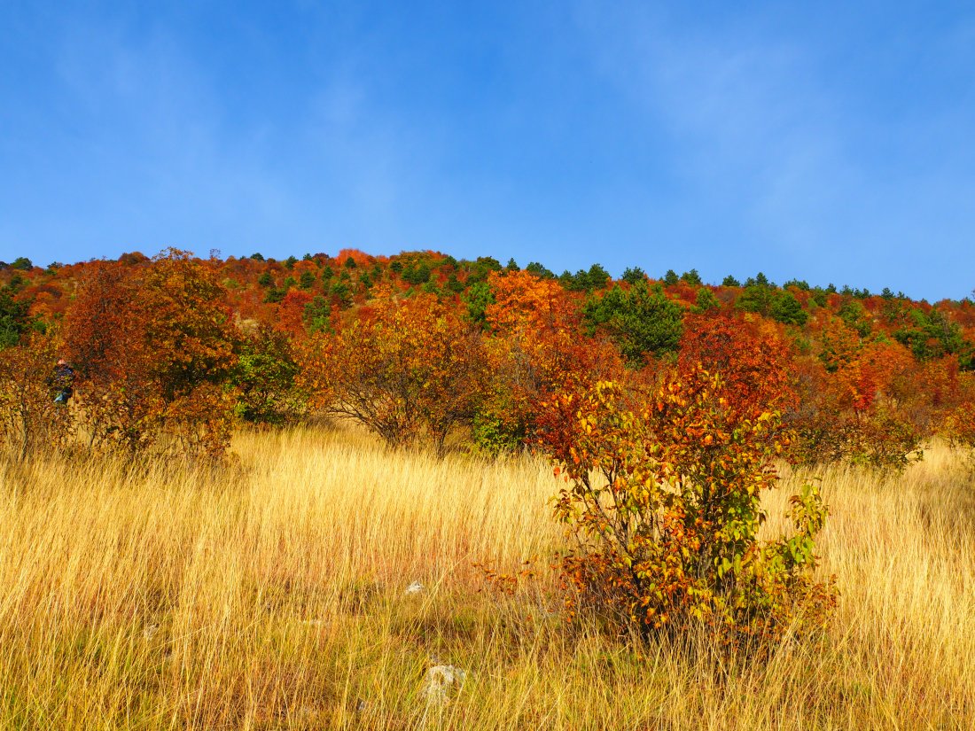 Затопляне в близките дни, по-съществено в края на седмицата