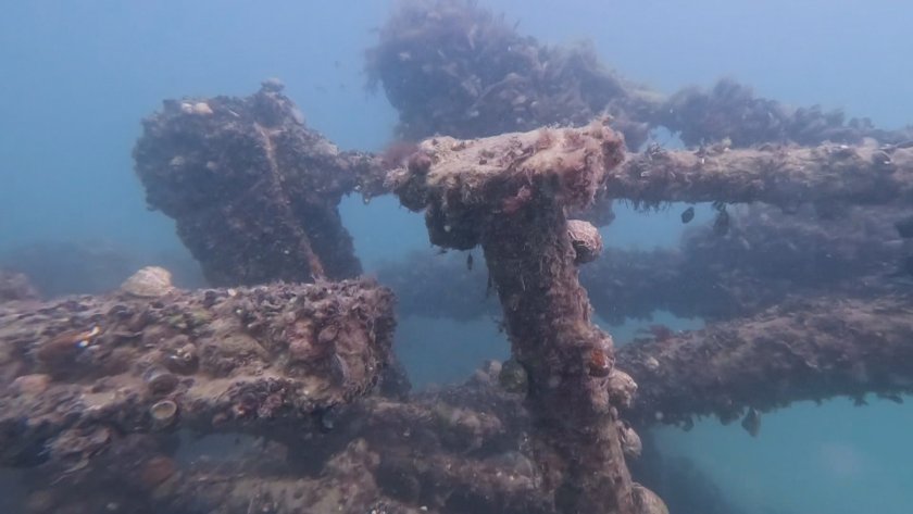 Сензационни отломки от миналото: Кораб на дъното пред Харманите