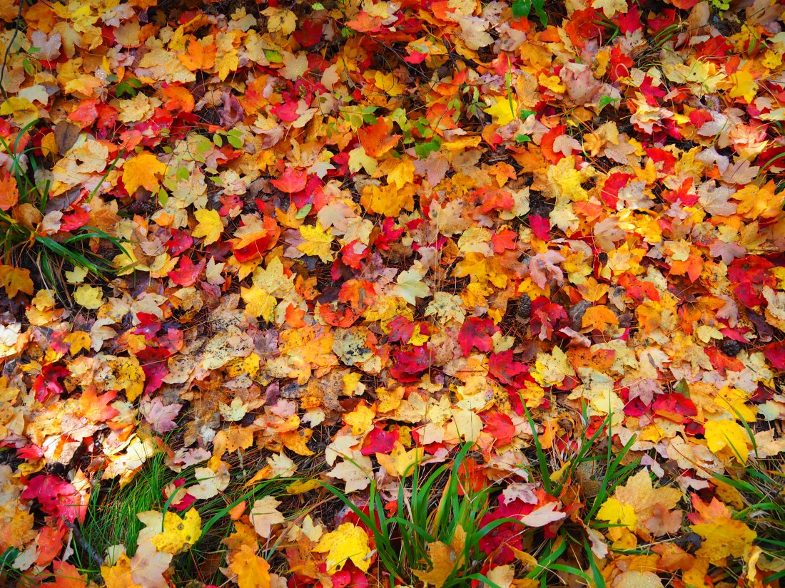 сняг градусови жеги време очаква октомври