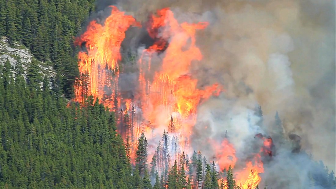Само климатът ли е причина за природните бедствия?