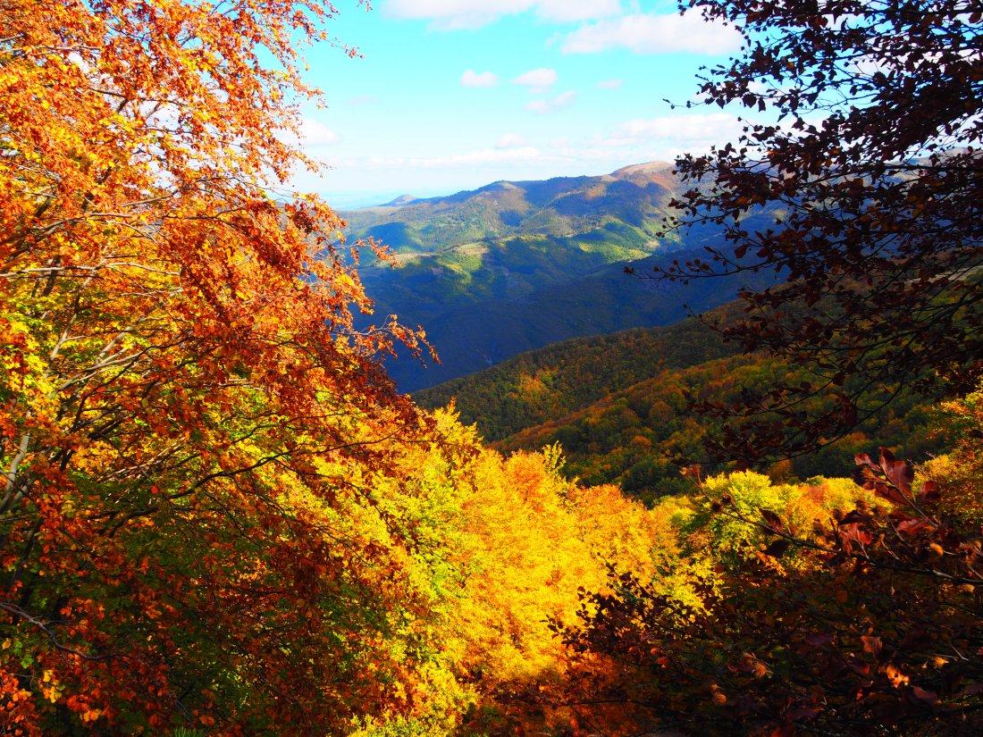 Слънчев четвъртък със сутрешни мъгли