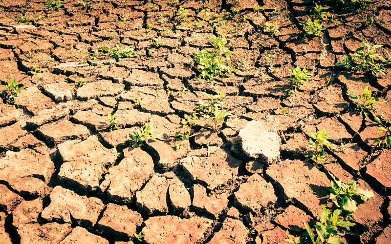 гърция обяви план стойност млрд евро борба заплахата суша