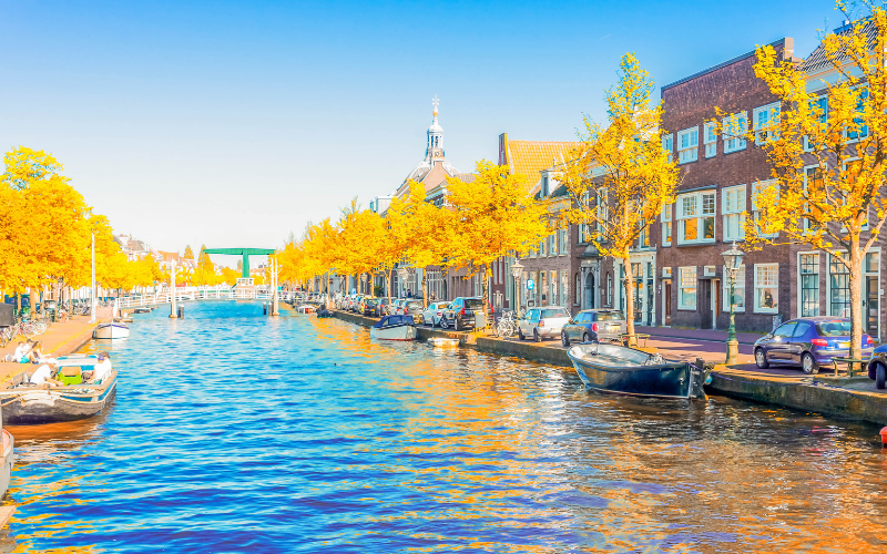 Изборен уют: Гласуваш в избирателна секция в хола на къща в Марле, след това ти предлагат кафе