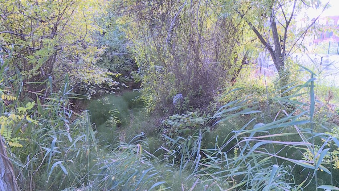 проверяват речни корита дерета варненска област