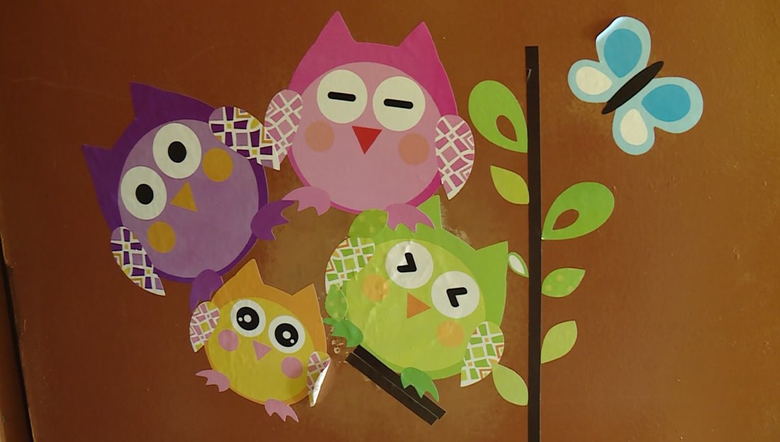 Търсят приемни семейства във Варна