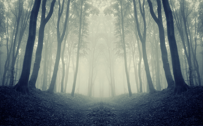 облачно мъгливо време превалявания