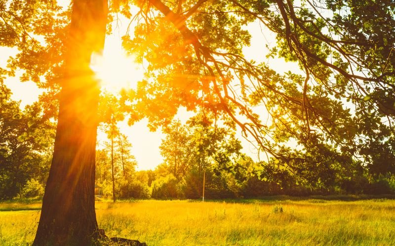 топло времето сряда