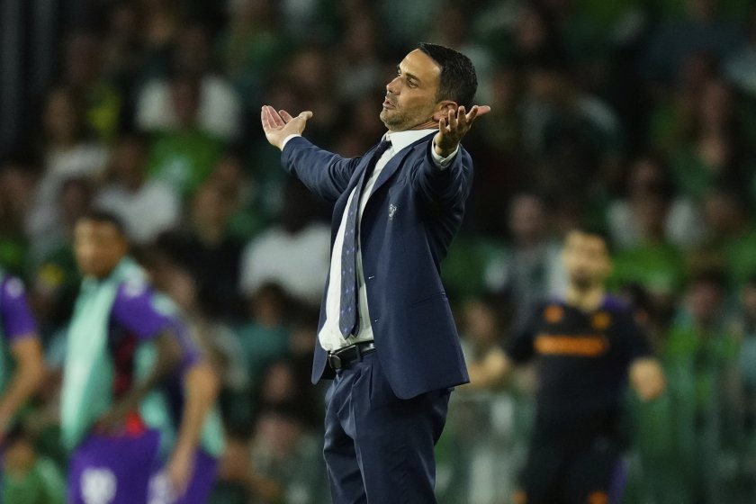 Рафаеле Паладино