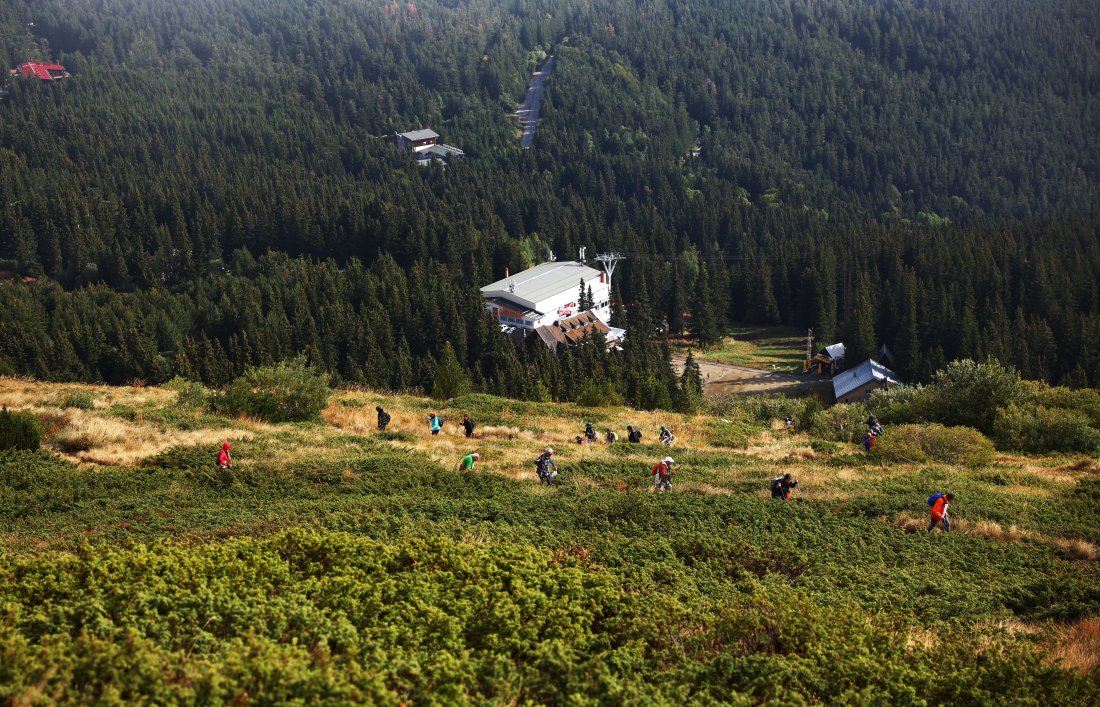 откриха следа изчезналата витоша стефани