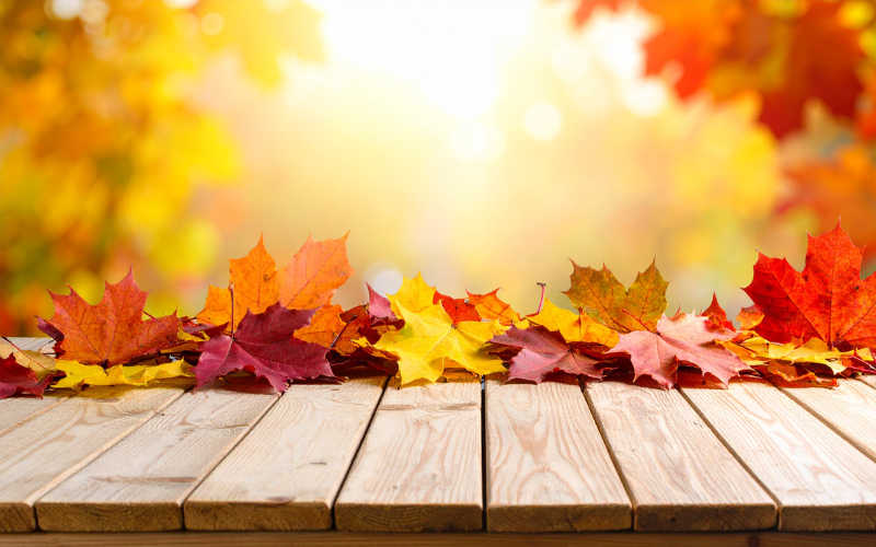 Топло време до края на ноември, вероятността за сняг под 1400 м е минимална