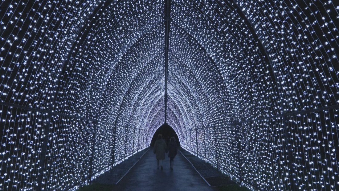 феерия светлини грейна коледната пътека кралската ботаническа градина лондон