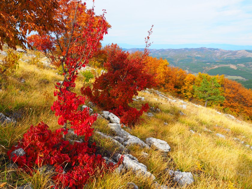 21deg дунавската равнина остане мъгливо почти целия ден