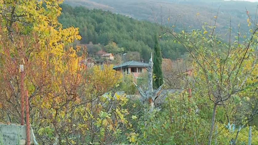 мечки засечени балкана сопот калофер