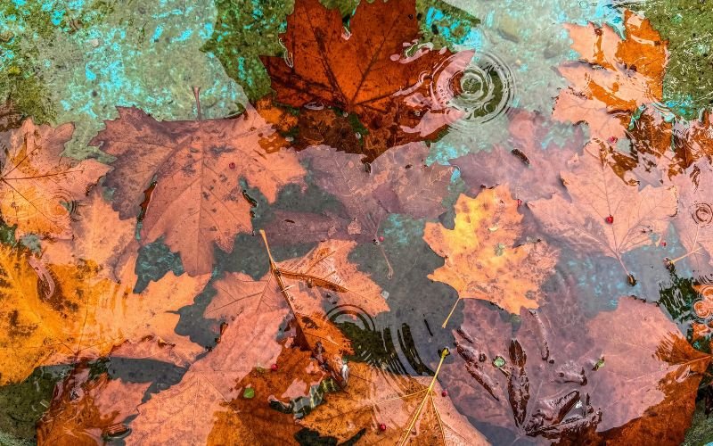 следобедни валежи западните райони страната