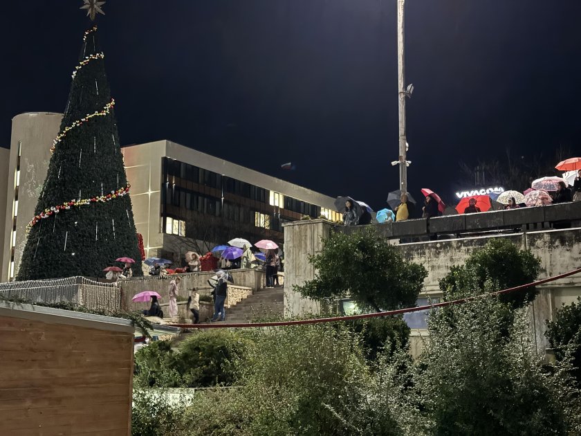 Грейна елхата в Благоевград