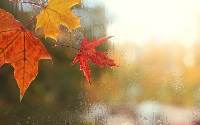 слаби валежи дъжд захлаждане новата седмица