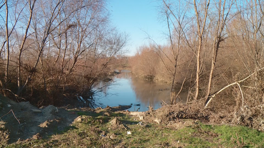 Обрасли брегове и непочистени речни корита - какво установи проверката на водоемите в Русенско?