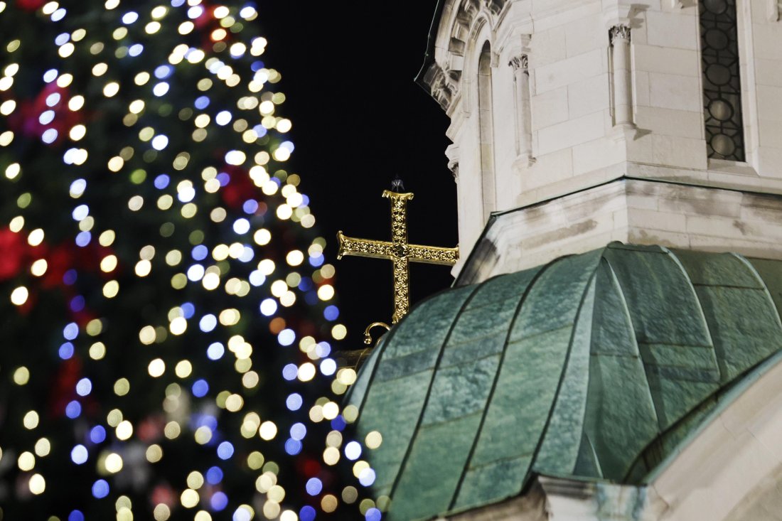 коледна елха София