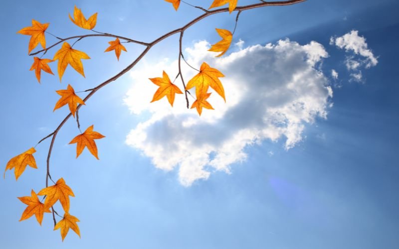 Слънчево време с температури от 8° до 15°