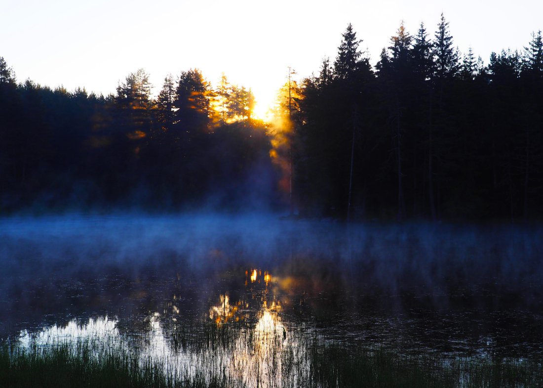 сутрешни мъгли предимно слънчево време сряда