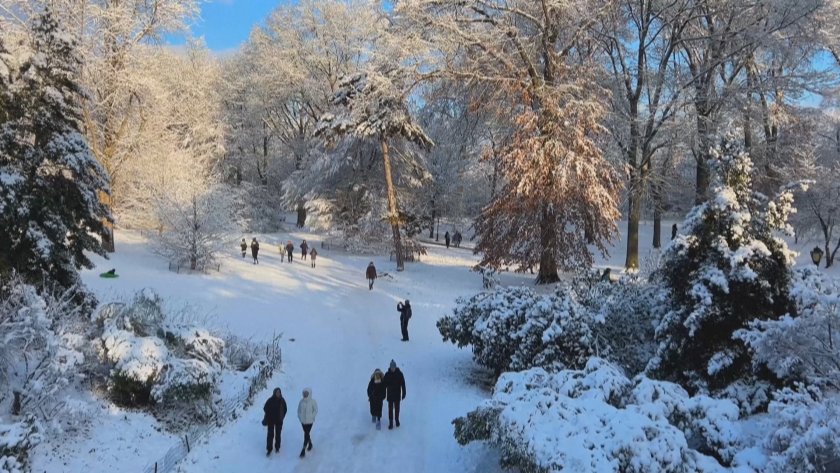Първи сняг зарадва жителите на Ню Йорк
