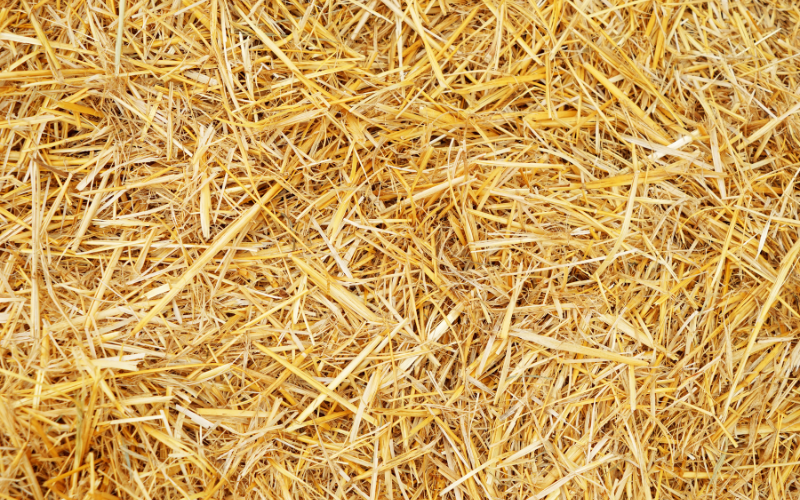 През изминалите дни Одеса беше обект на едни от най-масираните