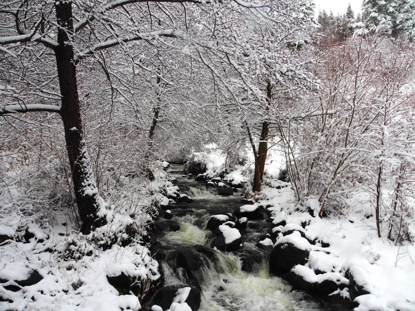 В следобедните часове мъглите в повечето райони ще се разсеят