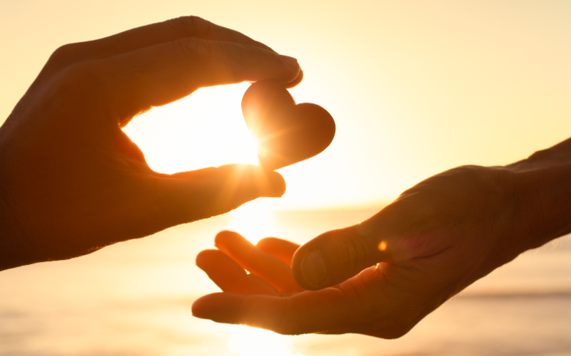 СЪБИТИЯТА НА 2025: Доброто, което остава