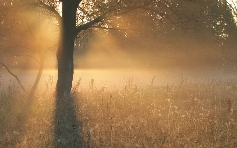 мъгливо утро слънчев следобед четвъртък