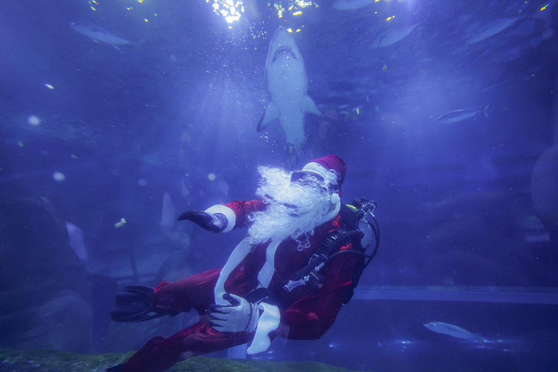 Дядо Коледа замени шейната с акваланг и се гмурна в