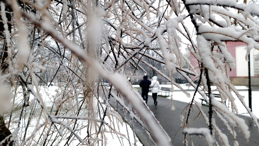 С валежи от дъжд и сняг посрещнахме коледния ден, но