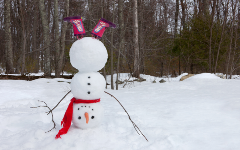 времето януари градуса