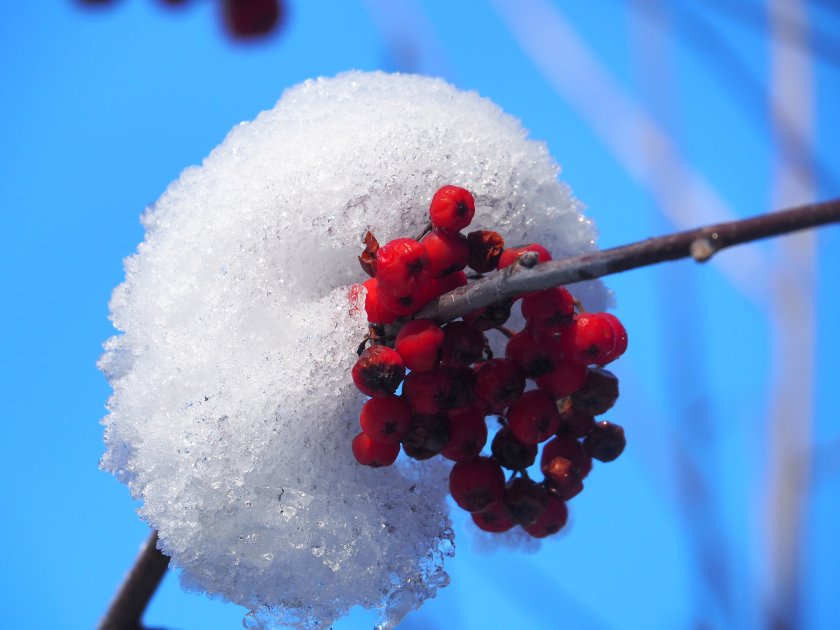 През първите дни на новата година предстои затопляне