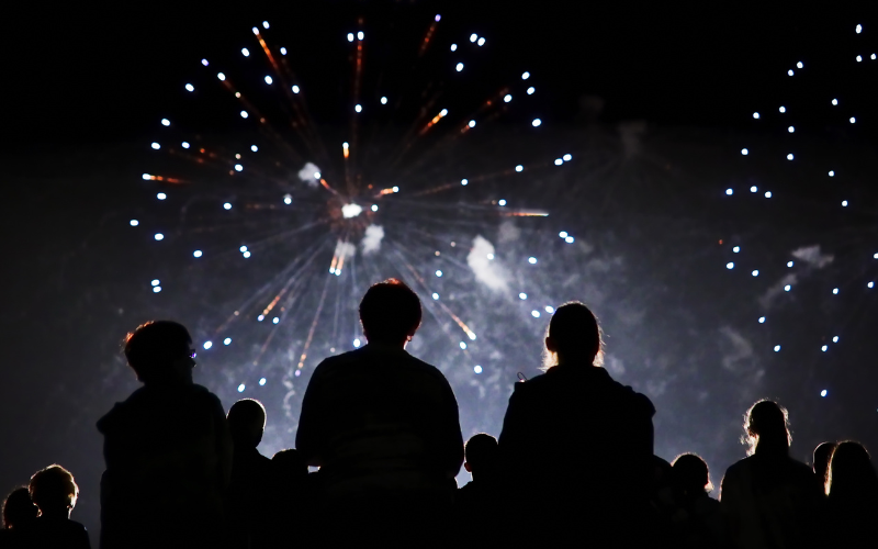 последна нова година фойерверки нидерландия готви пълна забрана пиротехниката