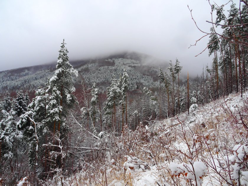 Столичната полиция издирва 22-годишен младеж от София, вчера е тръгнал за Витоша