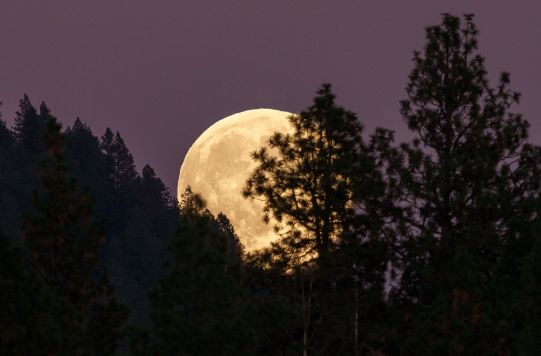 Първият метеорен поток за 2026 г. и суперлуна ще се синхронизират в януарското небе