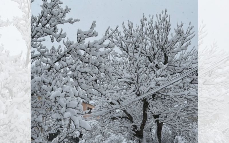 На територията на област Враца вече няма сериозни проблеми с
