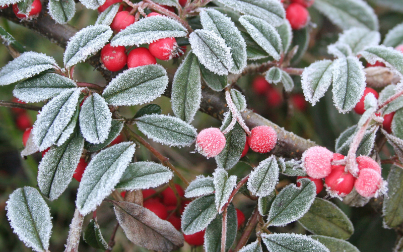Ще бъде облачно, валежите ще продължат, като на места ще