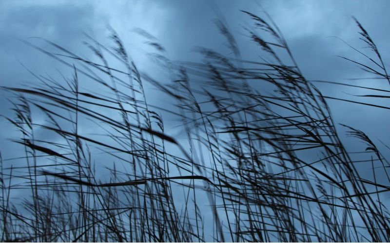 Днес южният вятър в районите разположени северно от планините и