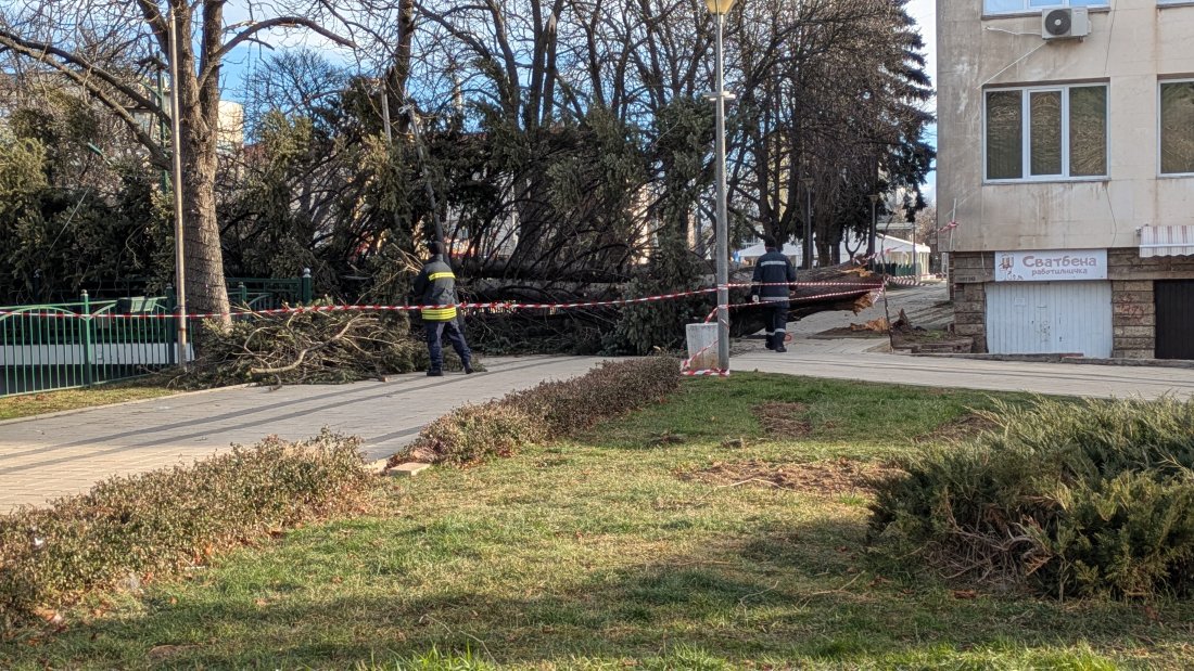 сигнала аварии причинени силния вятър реагирали пожарникарите перник