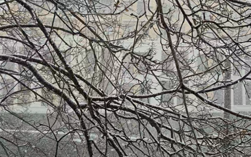 Във Варна и областта заваля сняг. В 15.00 ч. е