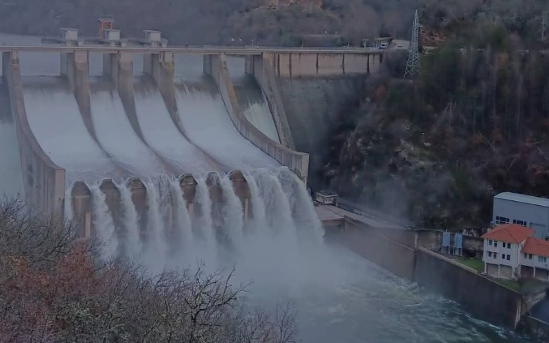 информация обстановката община ивайловград