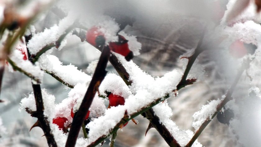 В следващите часове валежите ще спрат навсякъде, но ще остане