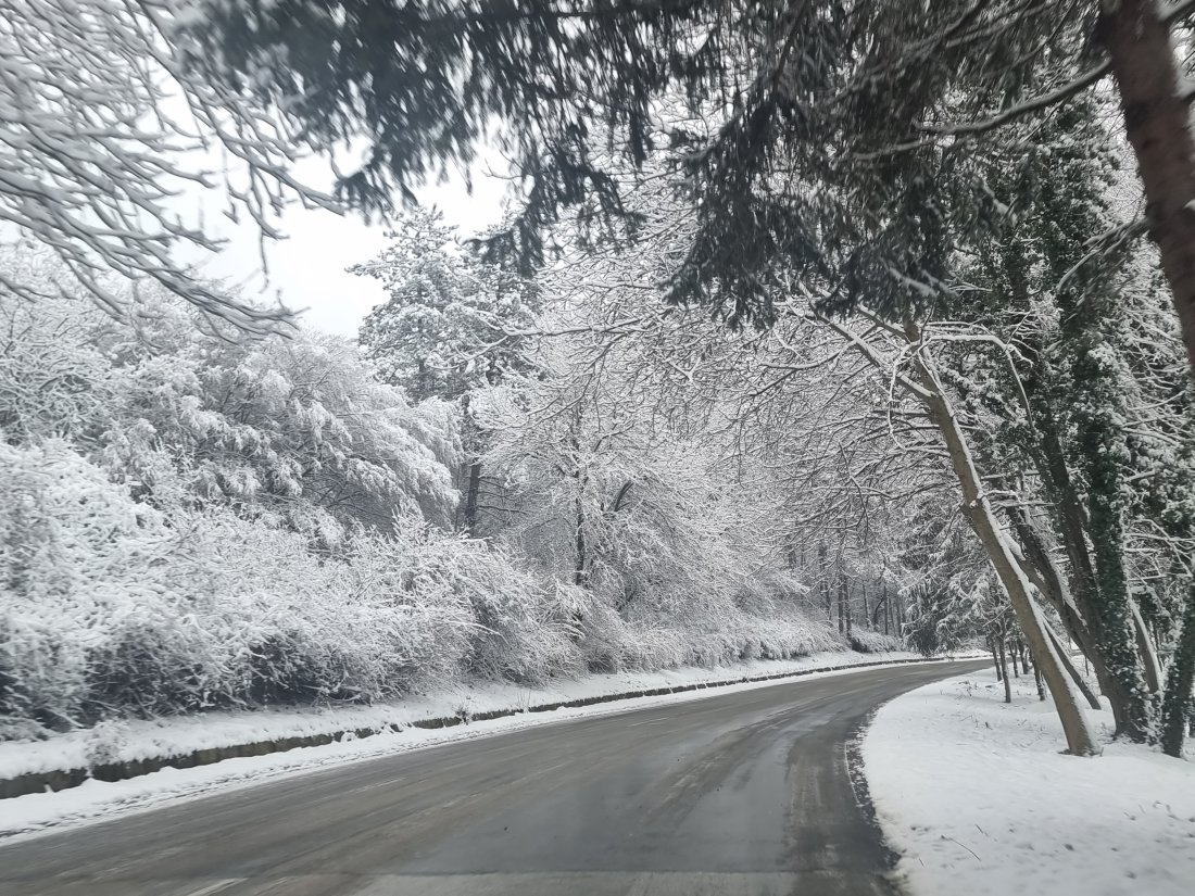 АПИ: 424 машини обработват пътищата в страната