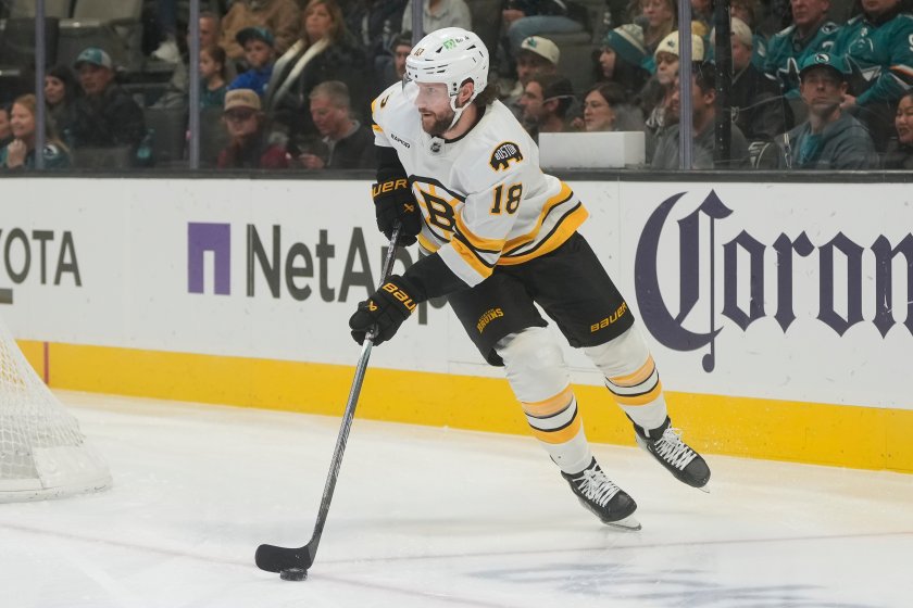 Павел Заха с първи хеттрик в кариерата си при разгром на Бостън Бруинс