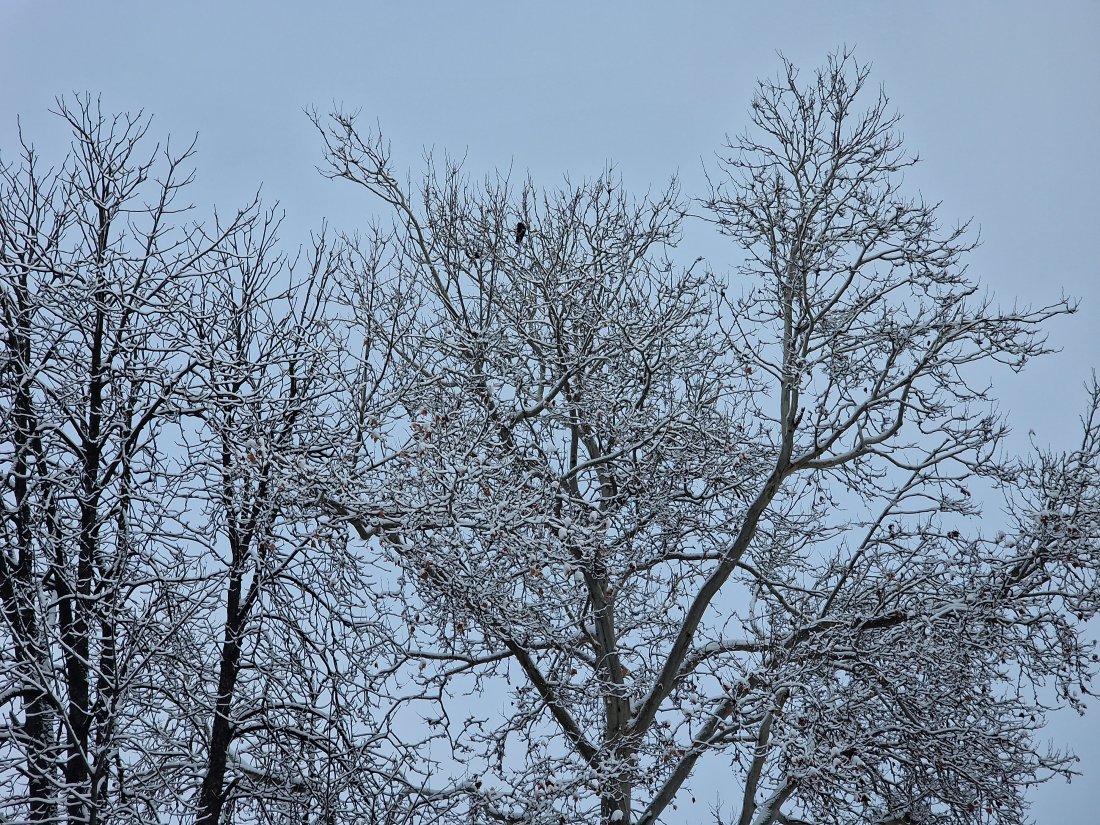 2025 почти месец без екстремни метеорологични явления обобщават нимх