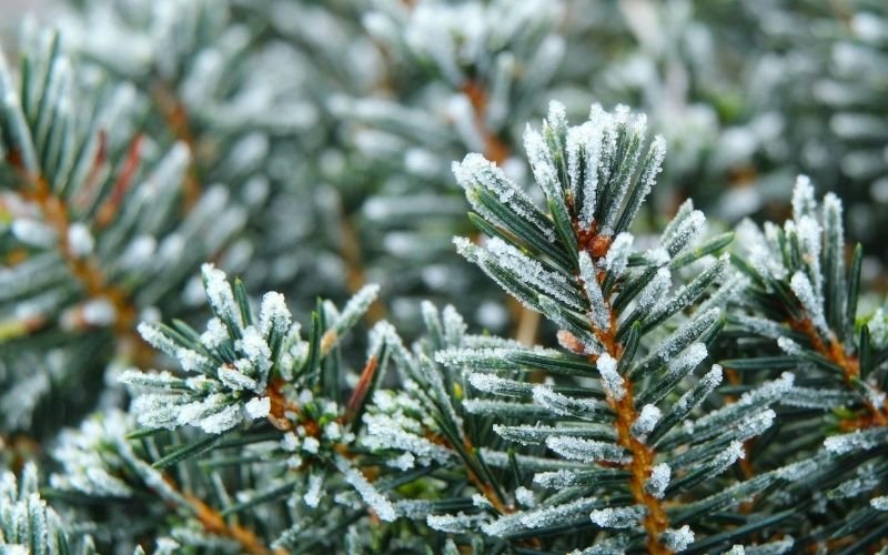 Затоплянето продължава, отново сняг през почивните дни