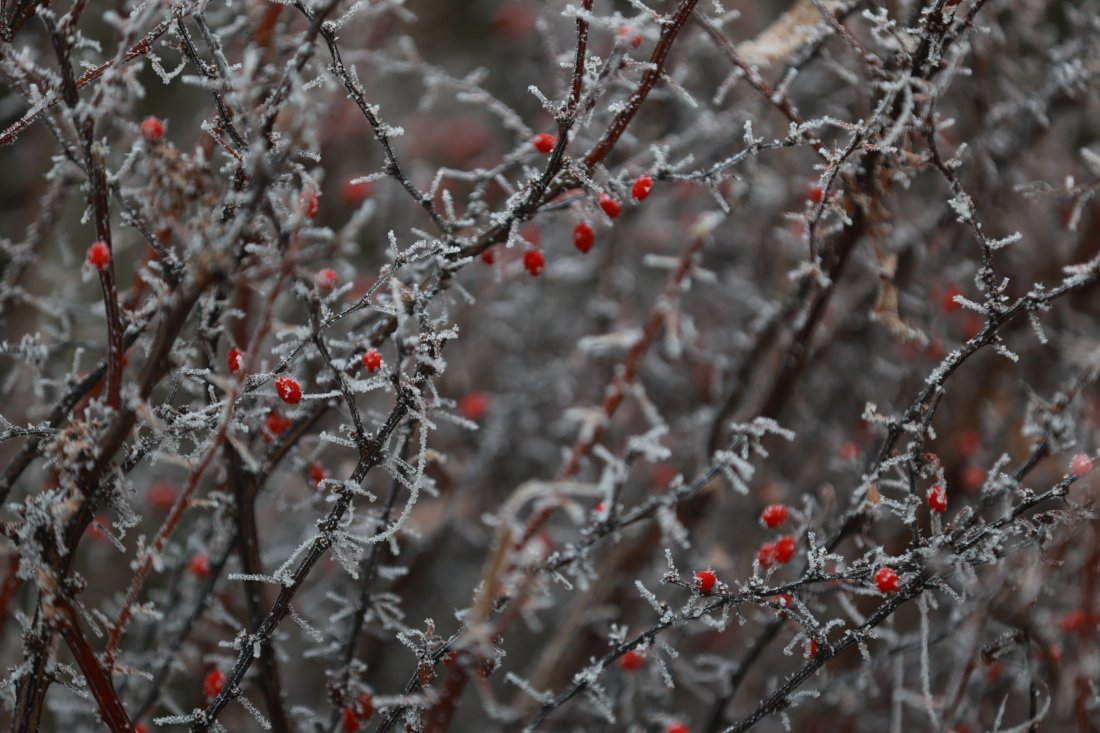 Днес от североизток ще продължи да нахлува по-студен въздух. В