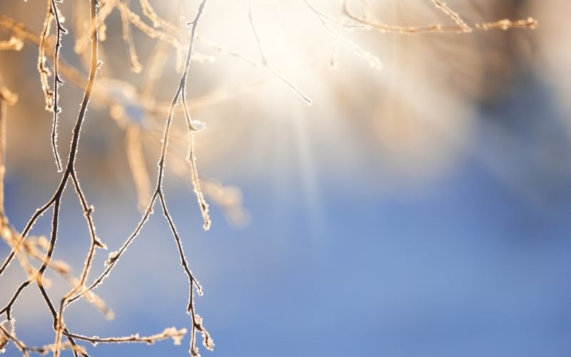 застудяване валежи сняг